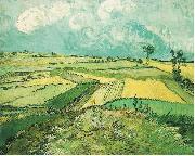 Vincent Van Gogh Wheatfield at Auvers under Clouded Sky France oil painting artist